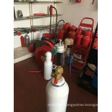 5L Fire Extinguishing Activated Cylinder